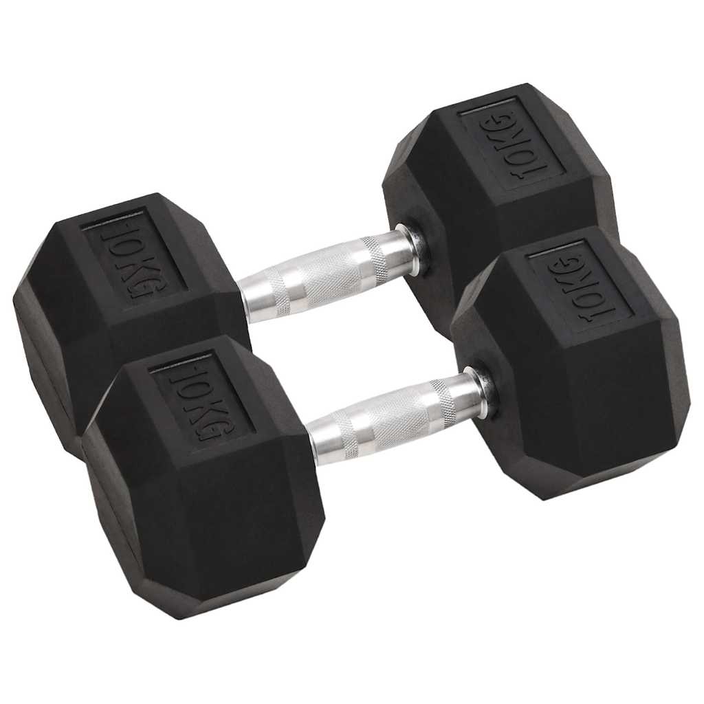 VidaXL Halsters 2 st 20 kg gietijzer