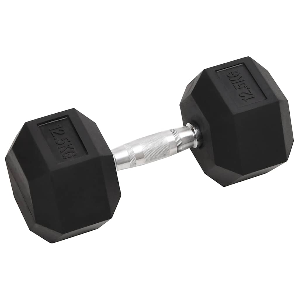 VidaXL Halsters 2 st 25 kg gietijzer