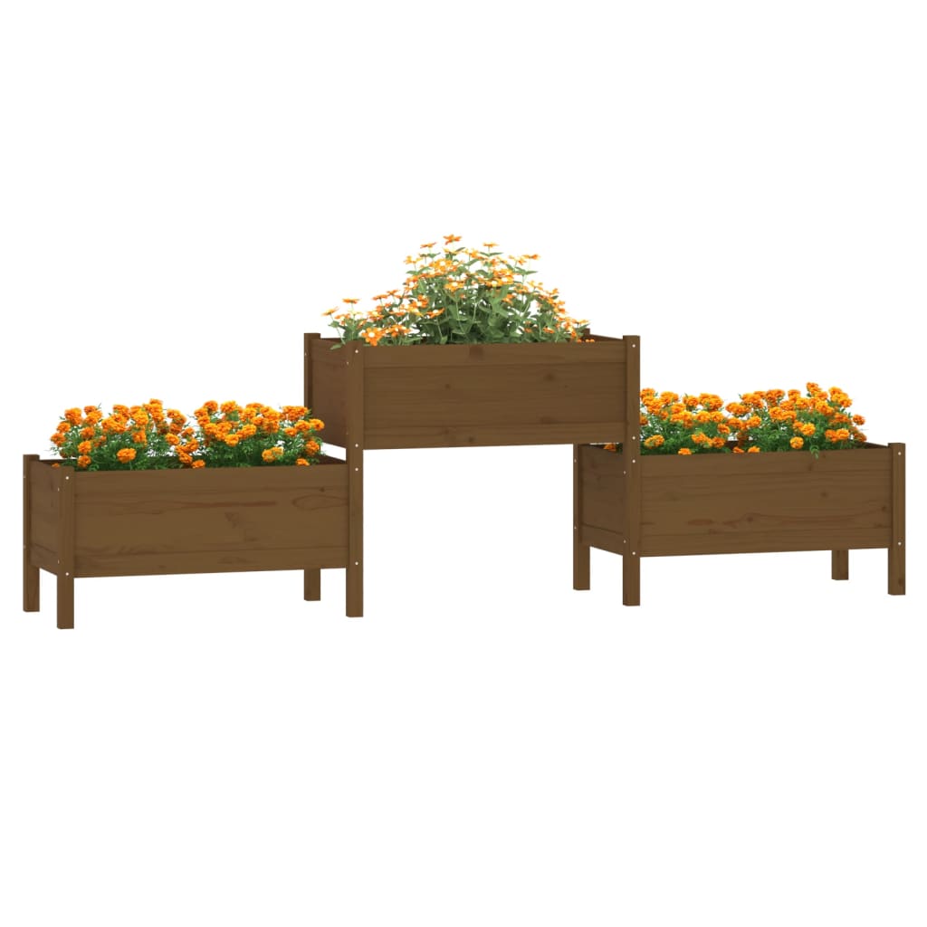 Vidaxl plantenbak 245,5x44x75 cm massief groenhout honingbruin