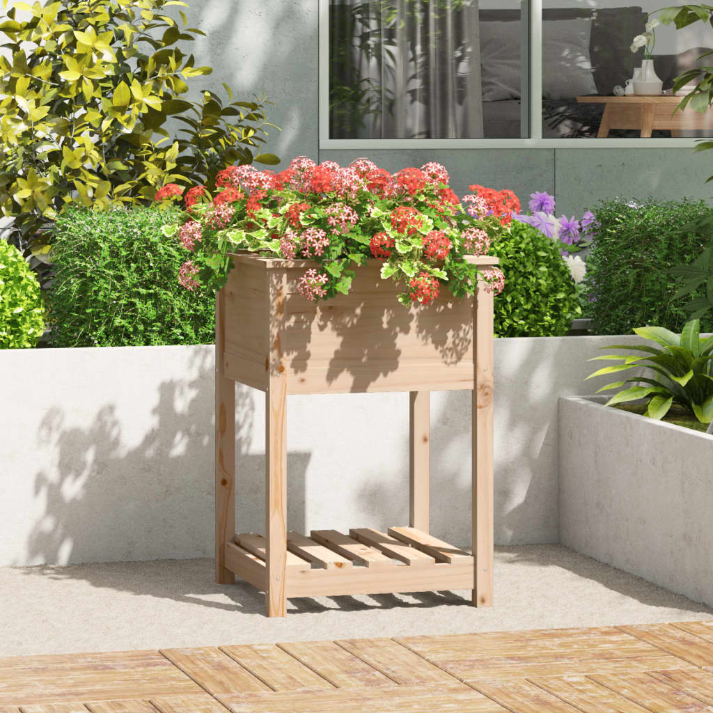 Vidaxl plantenbak met schap 54x54x81 cm massief groenhout