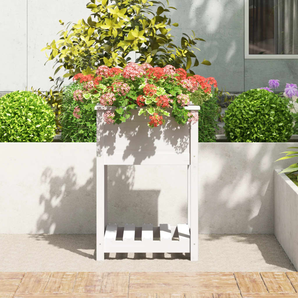 Vidaxl plantenbak met schap 54x54x81 cm massief groenhout wit