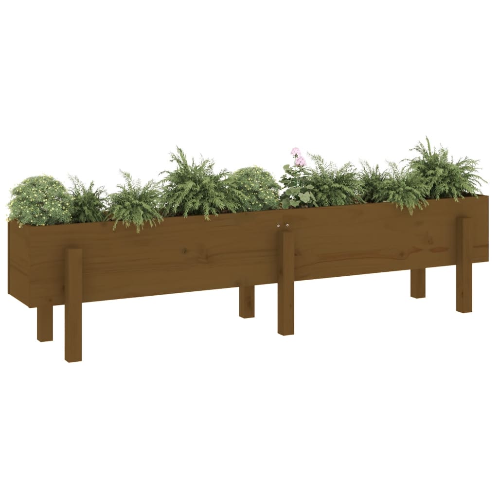 Vidaxl plantenbak verhoogd 160x30x38 cm massief groenhout honingbruin
