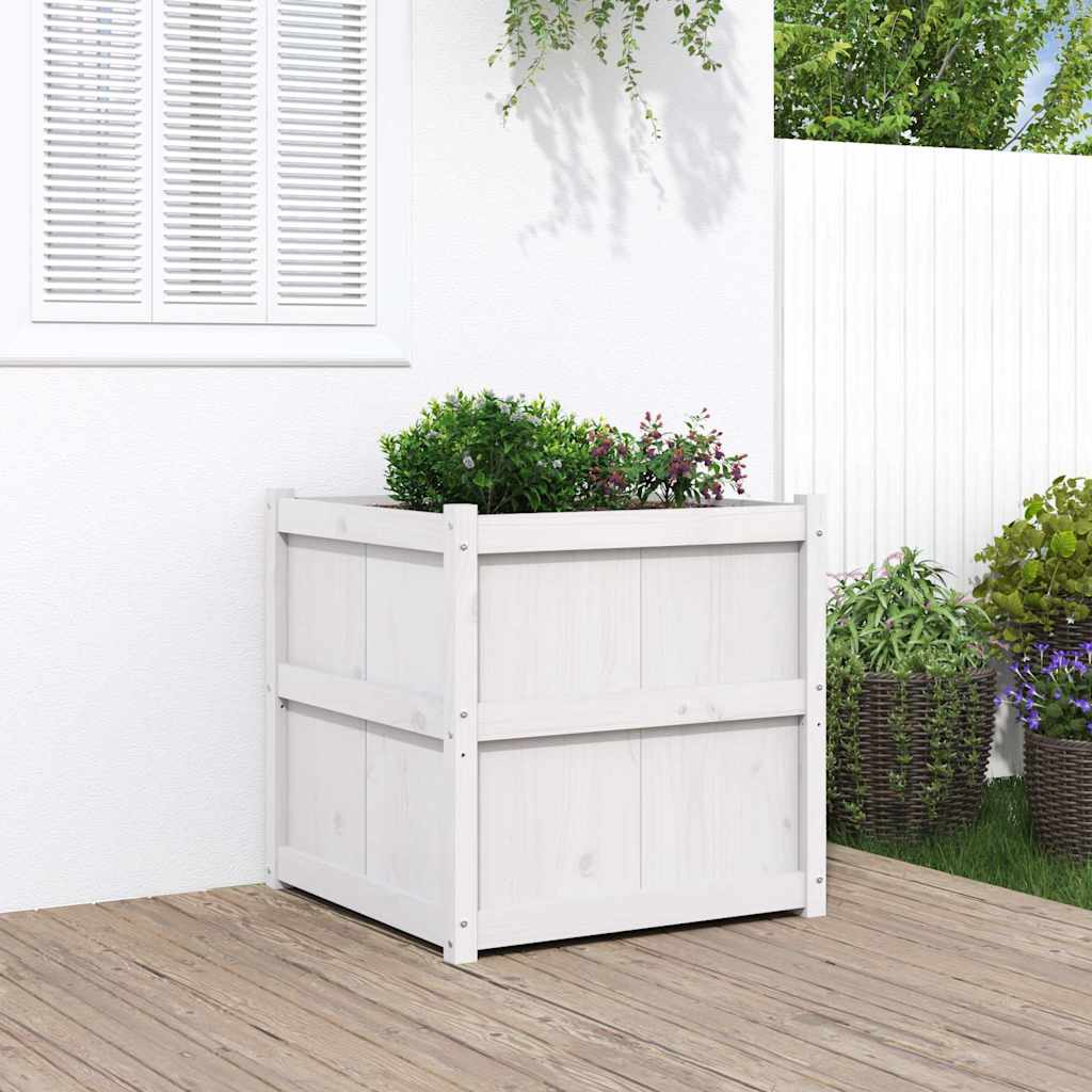 Vidaxl plantenbak 70x70x70 cm massief groenhout wit