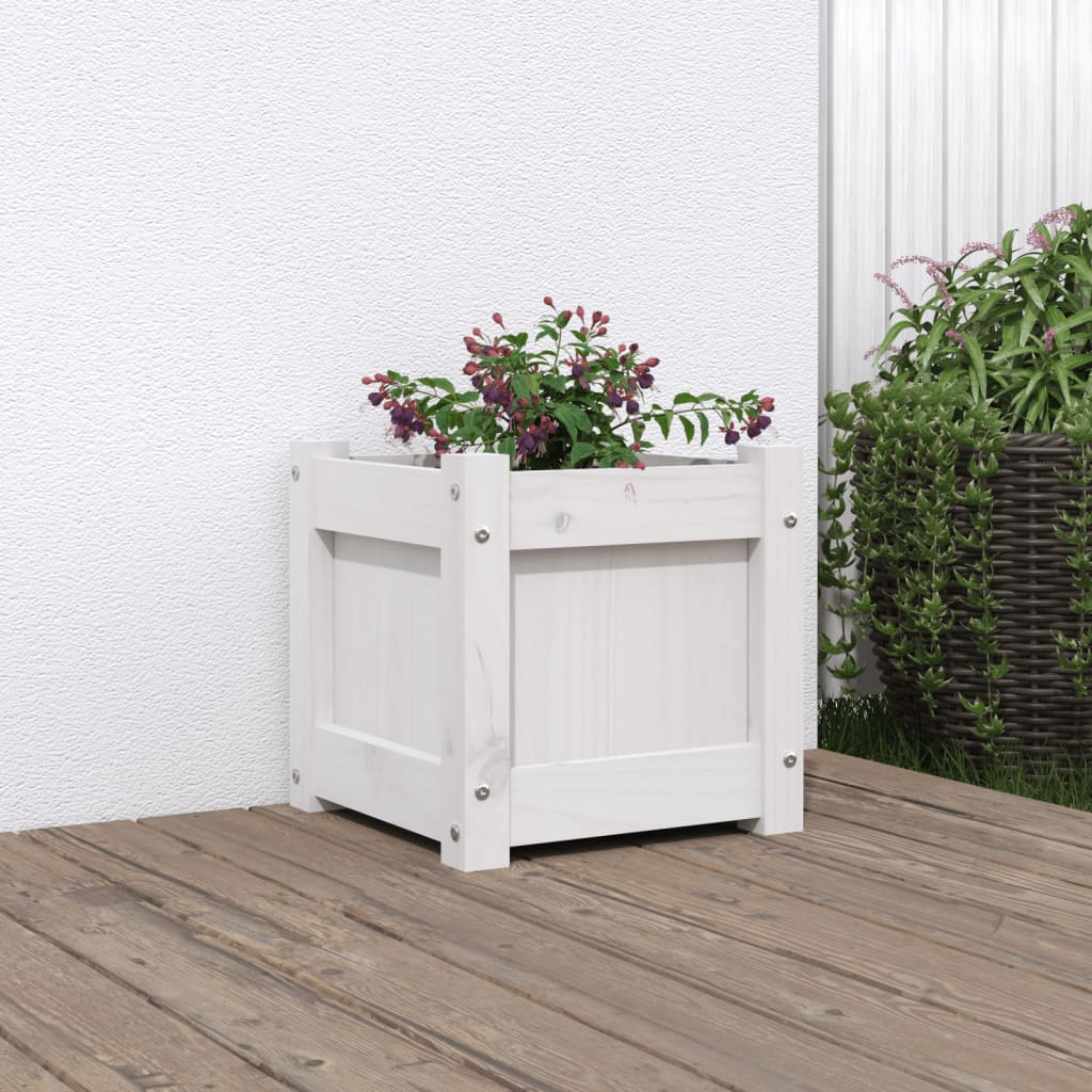 Vidaxl plantenbak 31x31x31 cm massief groenhout wit
