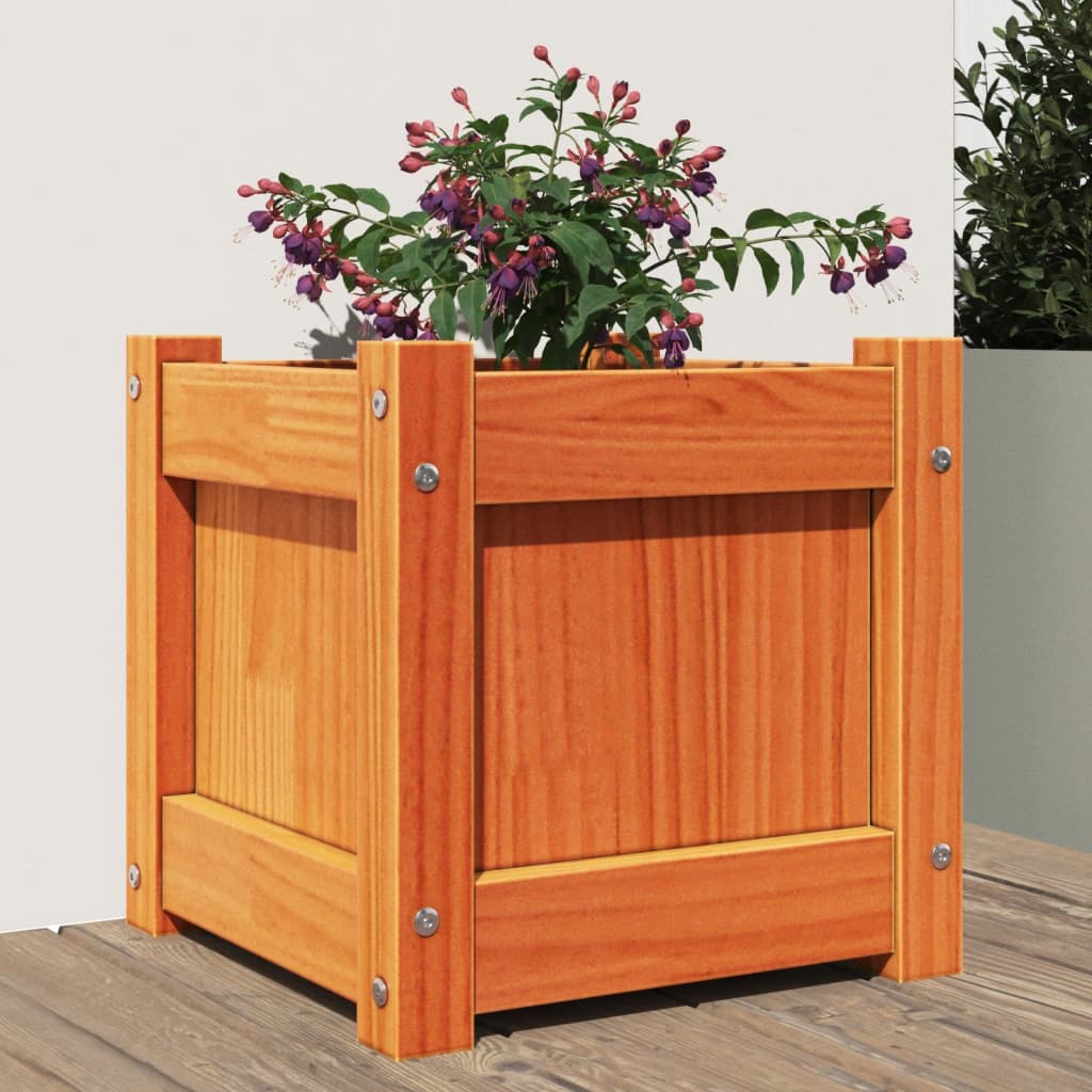 Vidaxl plantenbak 31x31x31 cm massief groenhout wasbruin