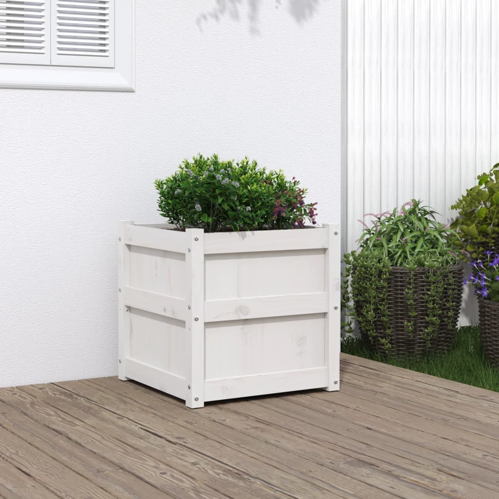 Vidaxl plantenbak 50x50x50 cm massief groenhout wit