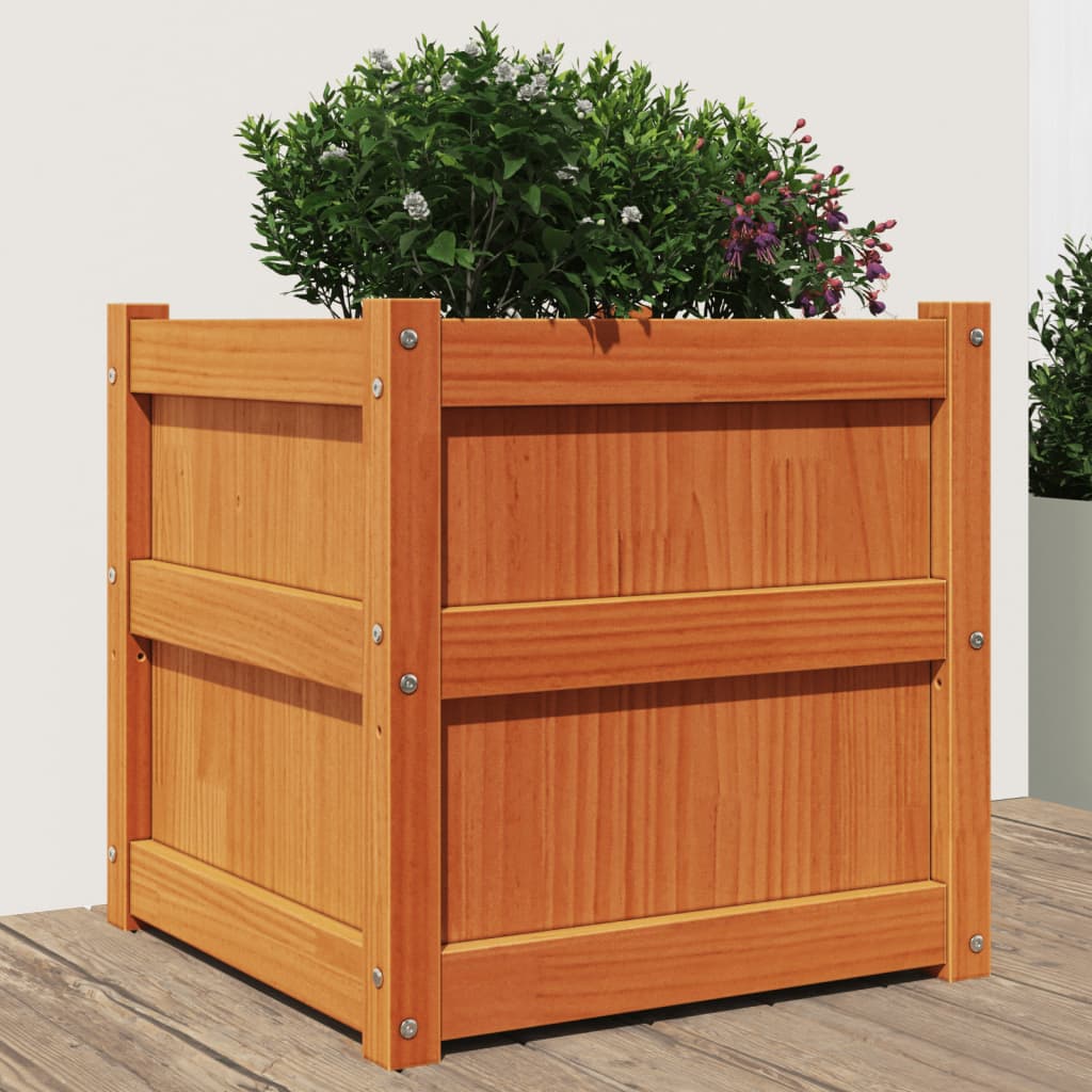 Vidaxl plantenbak 50x50x50 cm massief groenenhout wasbruin