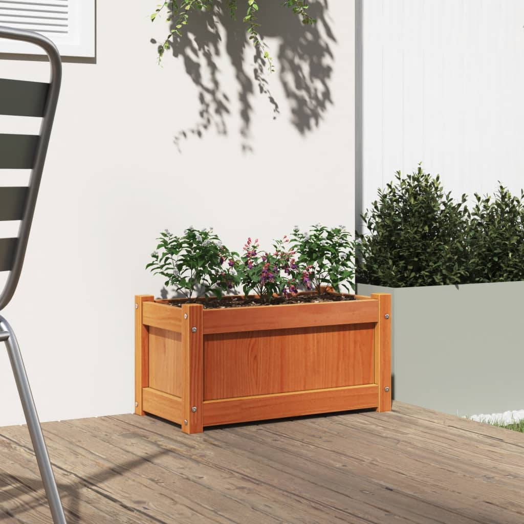 Vidaxl plantenbak 60x31x31 cm massief groenenhout wasbruin