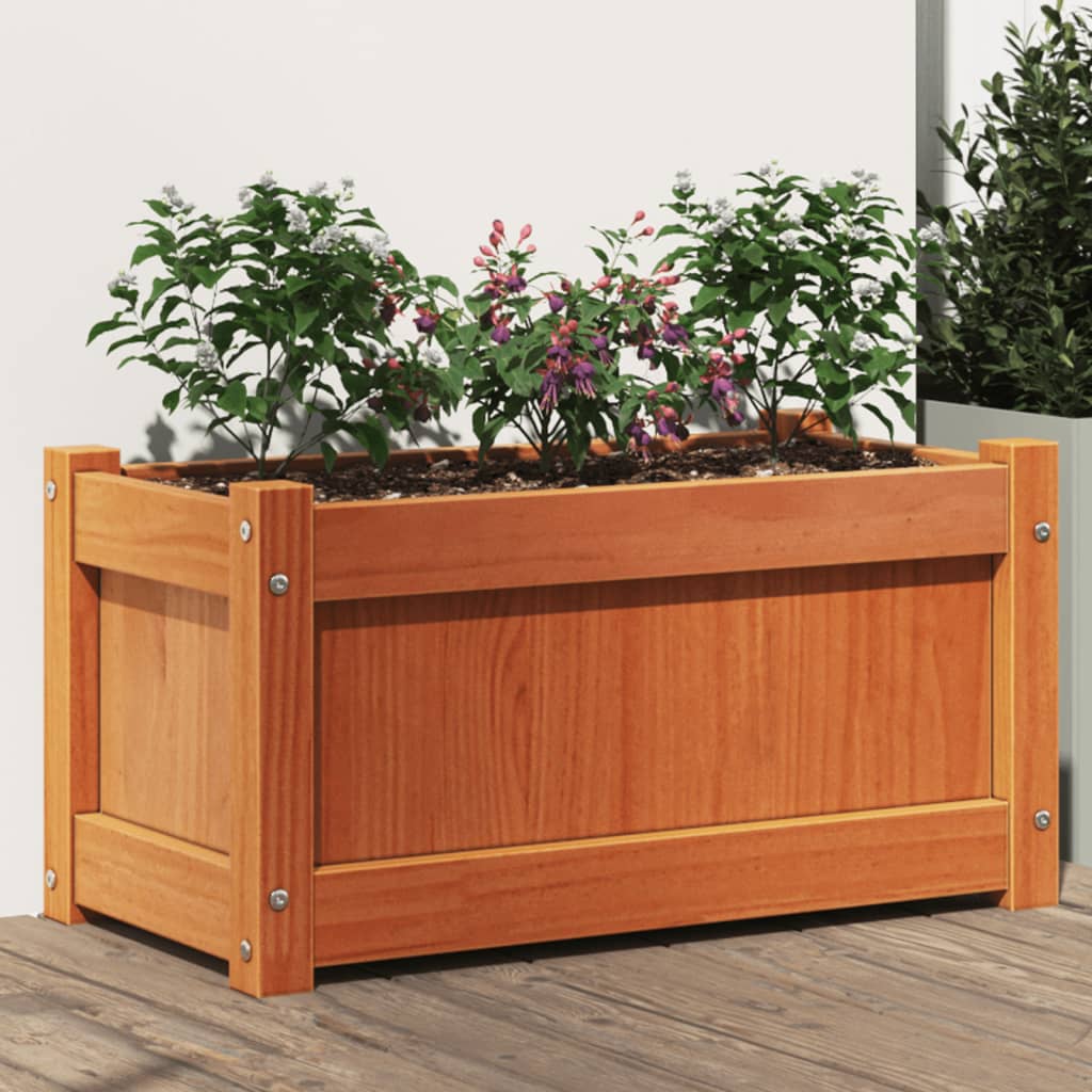 Vidaxl plantenbak 60x31x31 cm massief groenenhout wasbruin