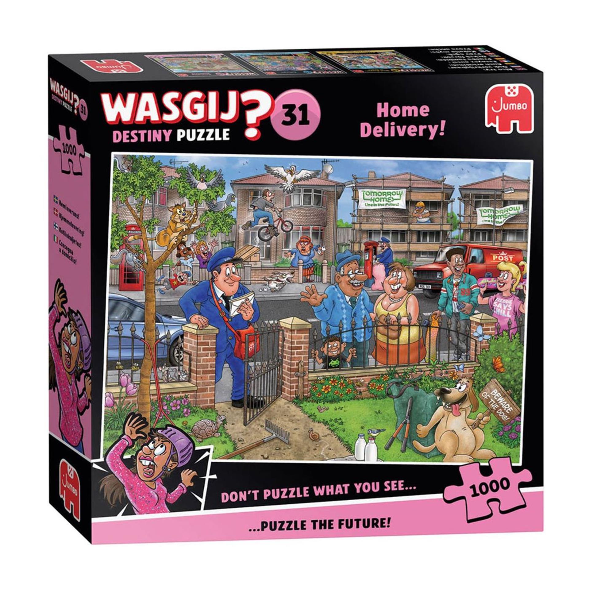 Jumbo wasgij destiny 31 - levering aan huis! - 1000 stukjes