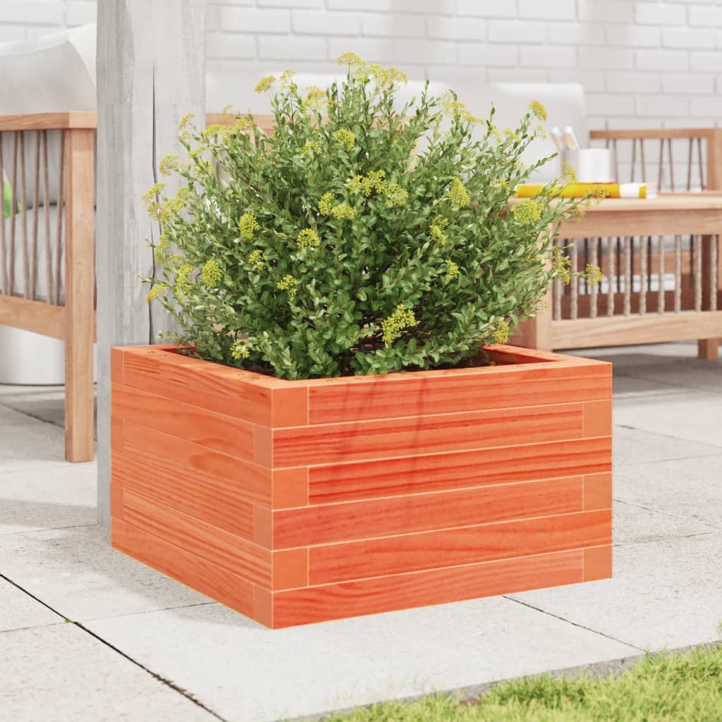 Vidaxl plantenbak 40x40x23 cm massief groenenhout wasbruin