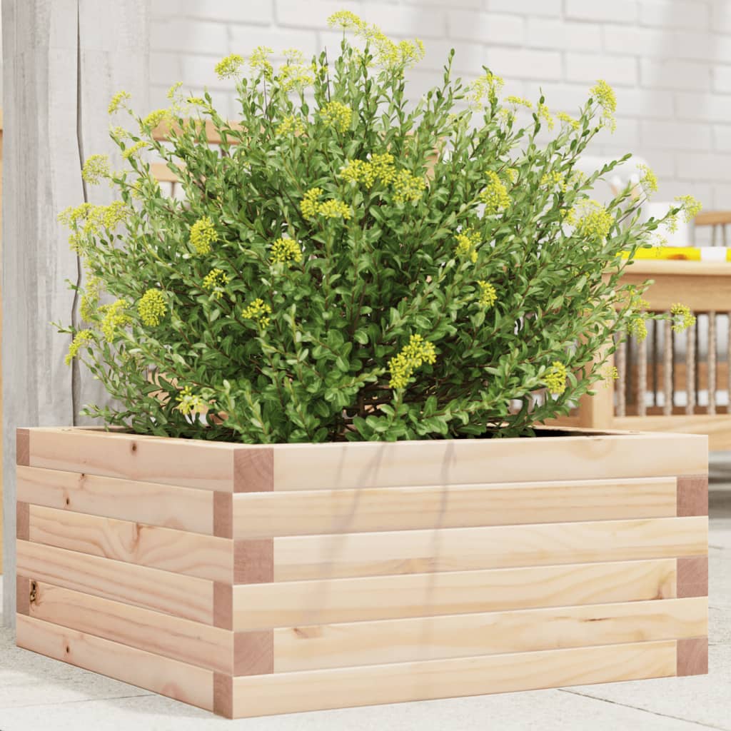 Vidaxl plantenbak 50x50x23 cm massief groenhout