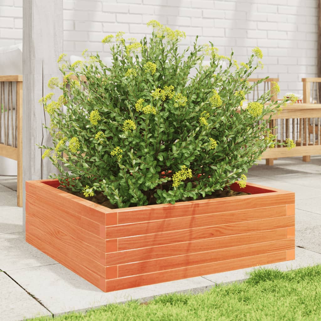 Vidaxl plantenbak 70x70x23 cm massief groenenhout wasbruin