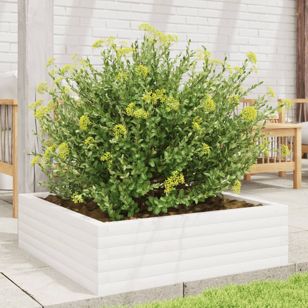 Vidaxl plantenbak 80x80x23 cm massief groenhout wit