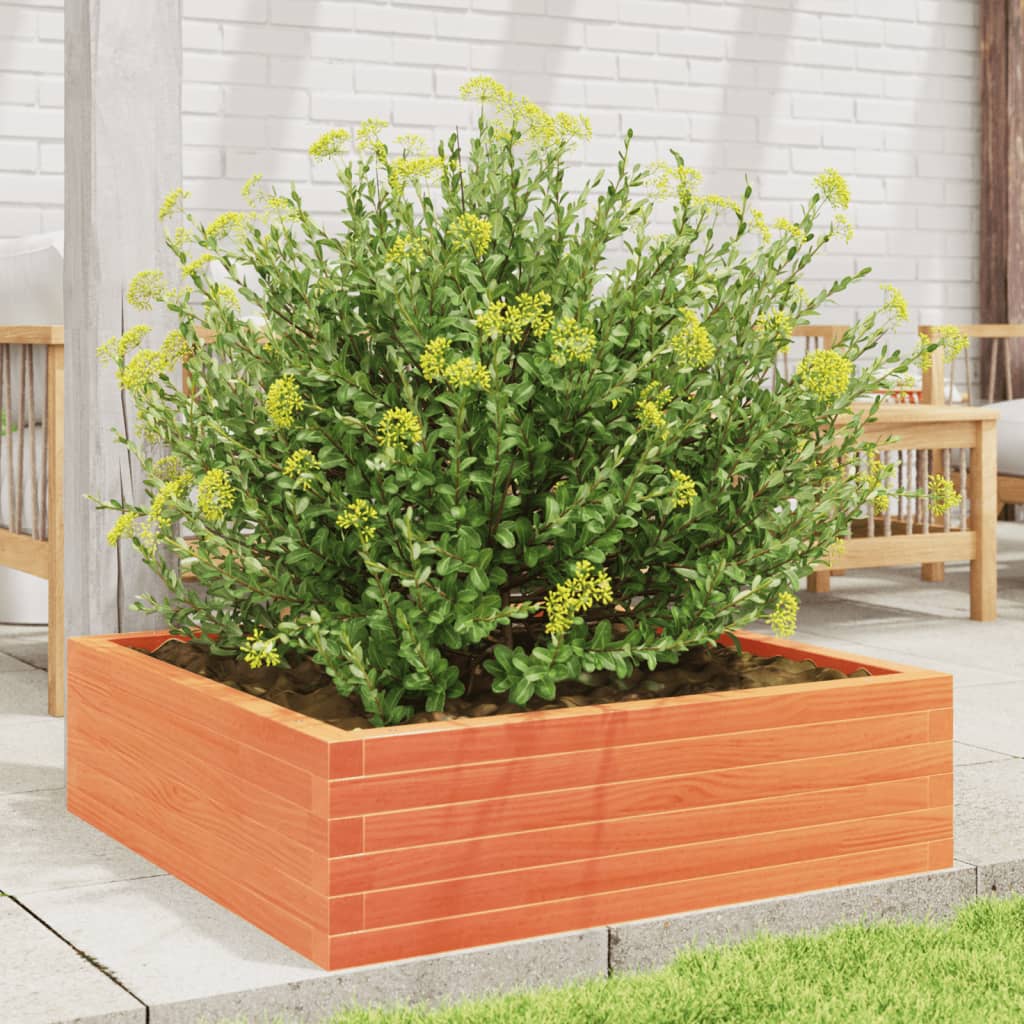Vidaxl plantenbak 80x80x23 cm massief groenenhout wasbruin