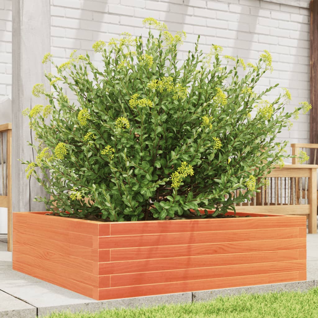 Vidaxl plantenbak 80x80x23 cm massief groenenhout wasbruin