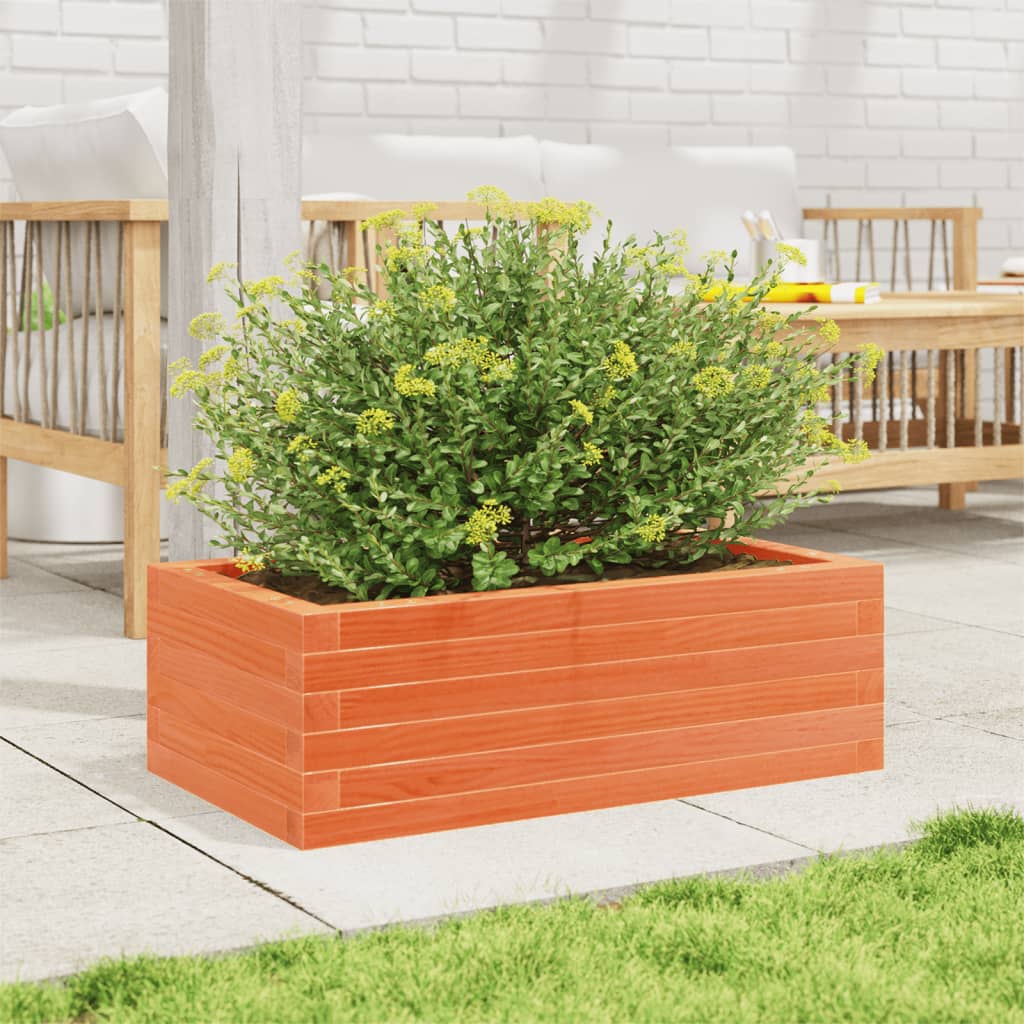 Vidaxl plantenbak 70x40x23 cm massief groenenhout wasbruin
