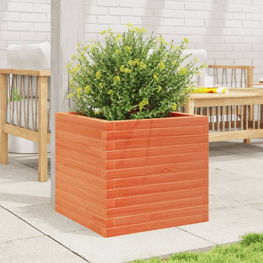 Vidaxl plantenbak 50x50x45,5 cm massief groenenhout wasbruin