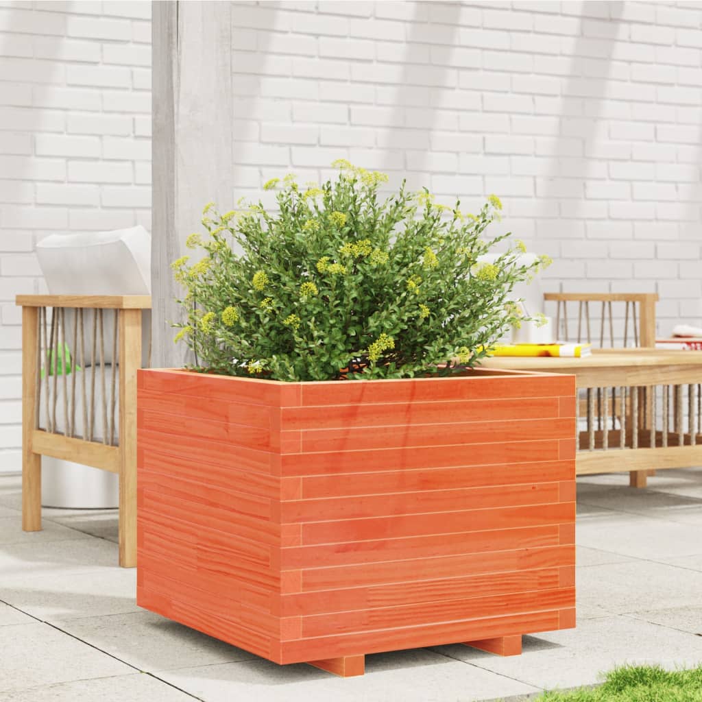 Vidaxl plantenbak 60x60x49,5 cm massief groenenhout wasbruin