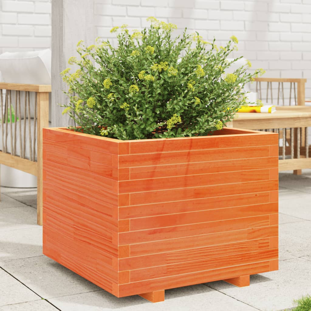 Vidaxl plantenbak 60x60x49,5 cm massief groenenhout wasbruin