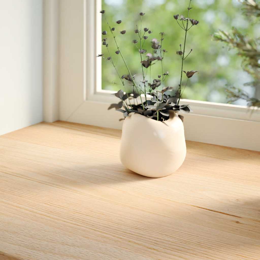 Vidaxl vensterbanken 2 st onbehandeld 160x30x2 cm massief eikenhout