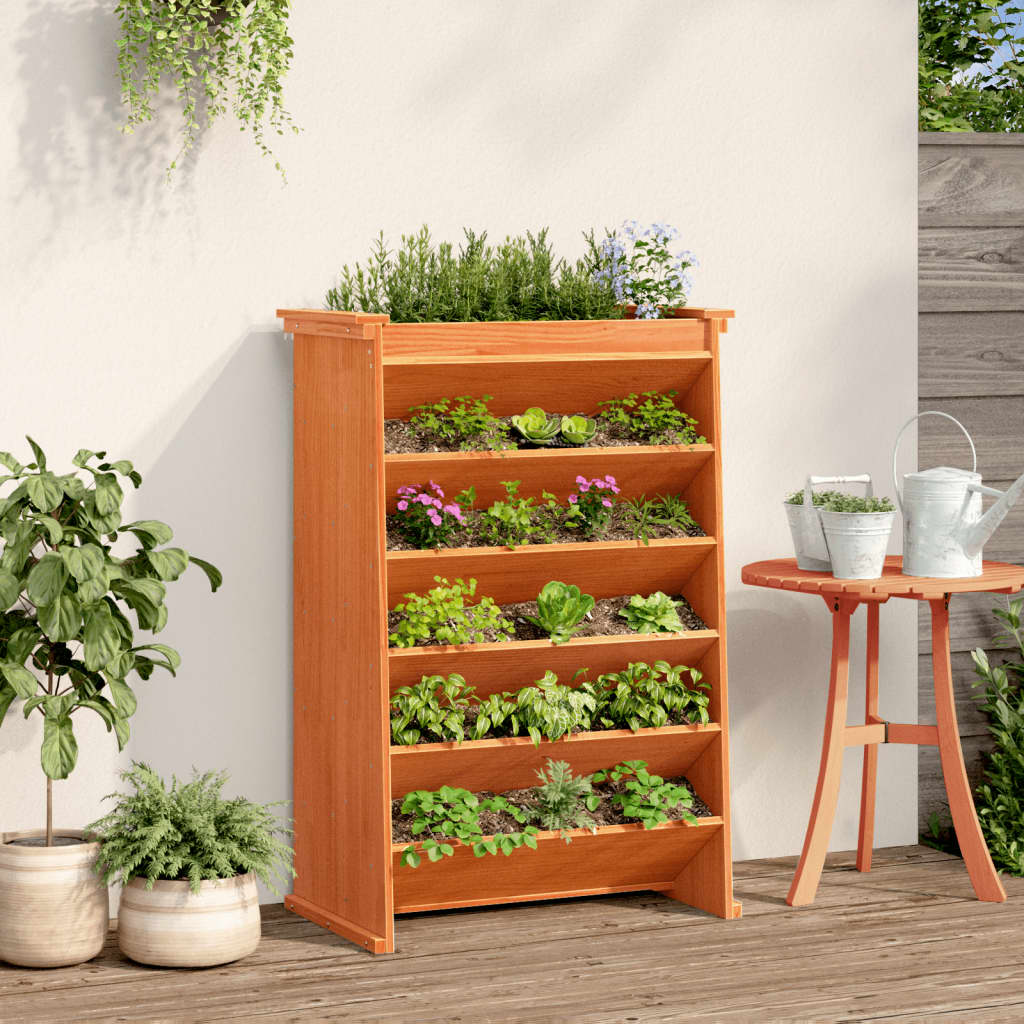 Vidaxl kruidenbak 6-laags 69x40x101,5 cm massief groenhout wasbruin