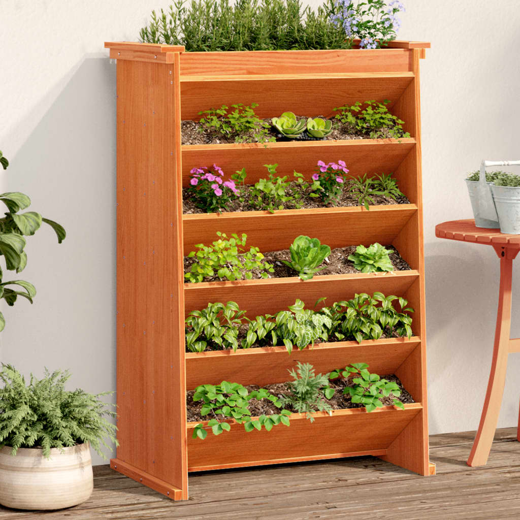 Vidaxl kruidenbak 6-laags 69x40x101,5 cm massief groenhout wasbruin