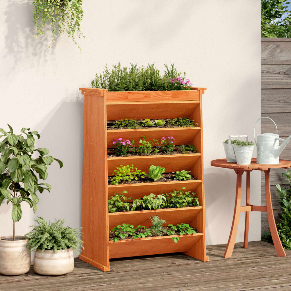 Vidaxl kruidenbak 6-laags 69x40x101,5 cm massief groenhout wasbruin