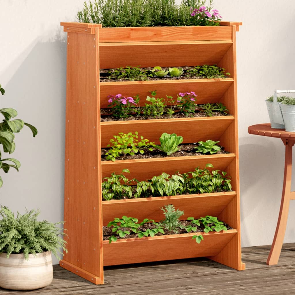 Vidaxl kruidenbak 6-laags 69x40x101,5 cm massief groenhout wasbruin