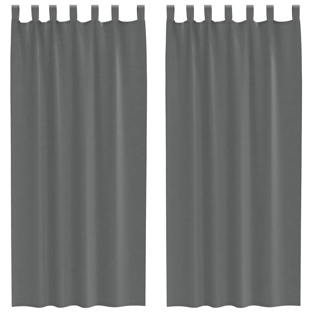 Vidaxl gordijnen voile met lussen 2 st 140x225 cm donkergrijs