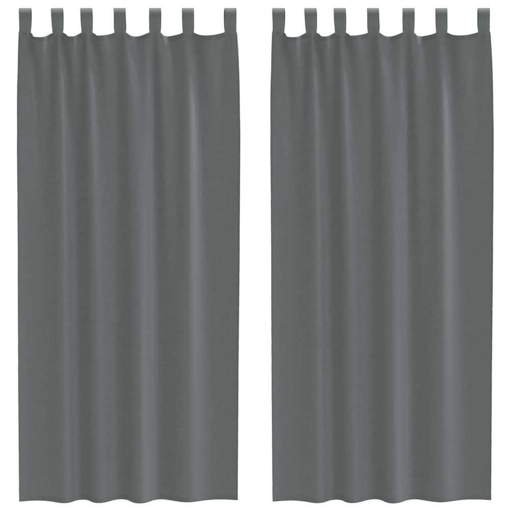 Vidaxl gordijnen voile met lussen 2 st 140x245 cm donkergrijs