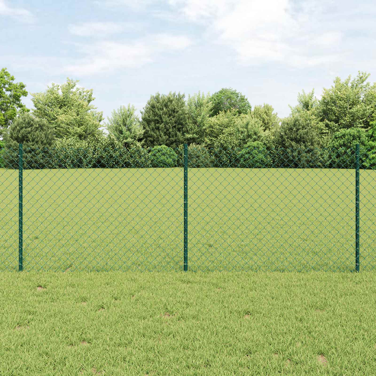 Vidaxl gaashek met palen 10 x 0,8 m pvc-coated staal groen mesh