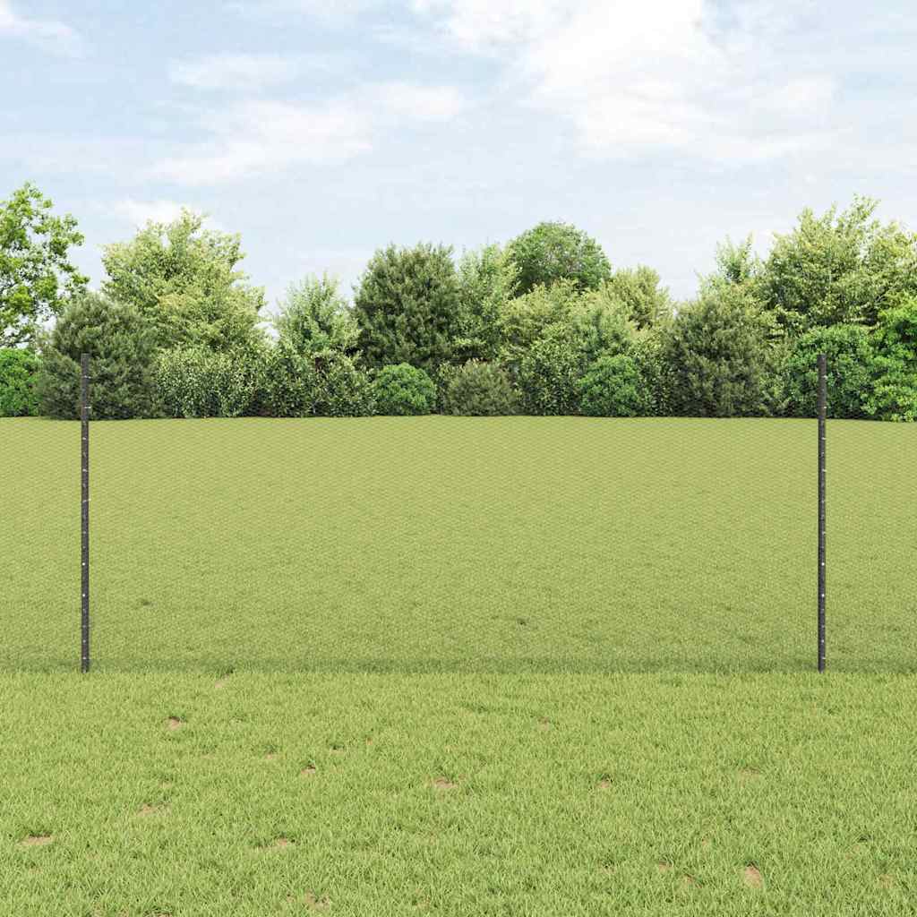 Vidaxl hek met paal grijs 1 x 10 m staal en pvc