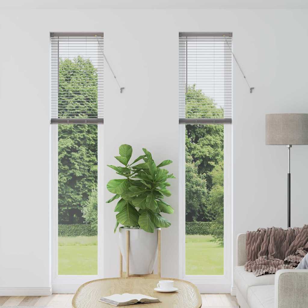 Vidaxl venetiaanse jaloezieën zilver 220 x 40 cm aluminium