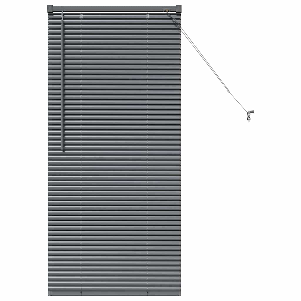 Vidaxl venetiaanse jaloezieën donkergrijs 130 x 60 cm aluminium