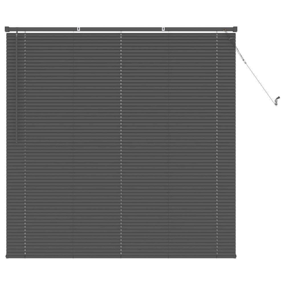 Vidaxl venetiaanse blind verstelbaar zilvergrijs 150 x 160 cm pvc