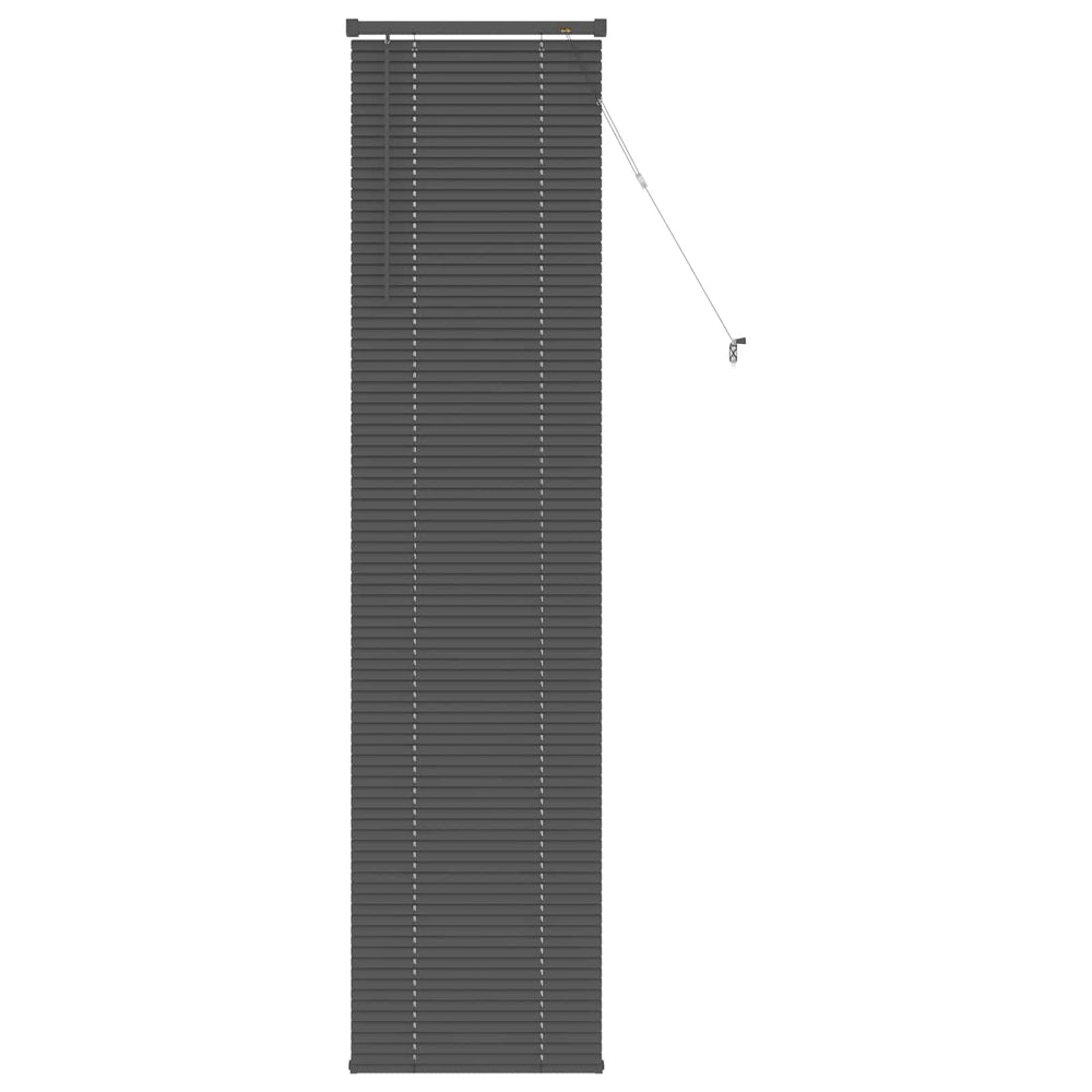 Vidaxl venetiaanse blind verstelbaar zilvergrijs 213 x 40 cm pvc