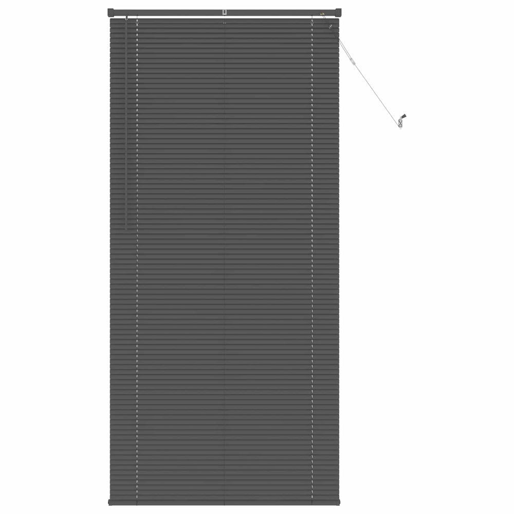 Vidaxl venetiaanse blind verstelbaar zilvergrijs 213 x 100 cm pvc