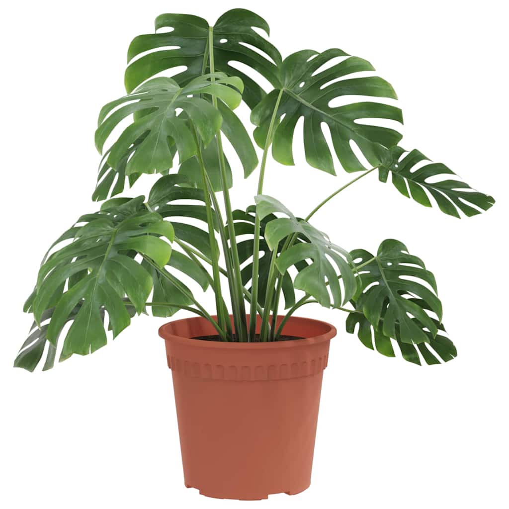 Vidaxl ronde bloempot 6 pcs baksteenrood ø 17 x 14 cm kunststof
