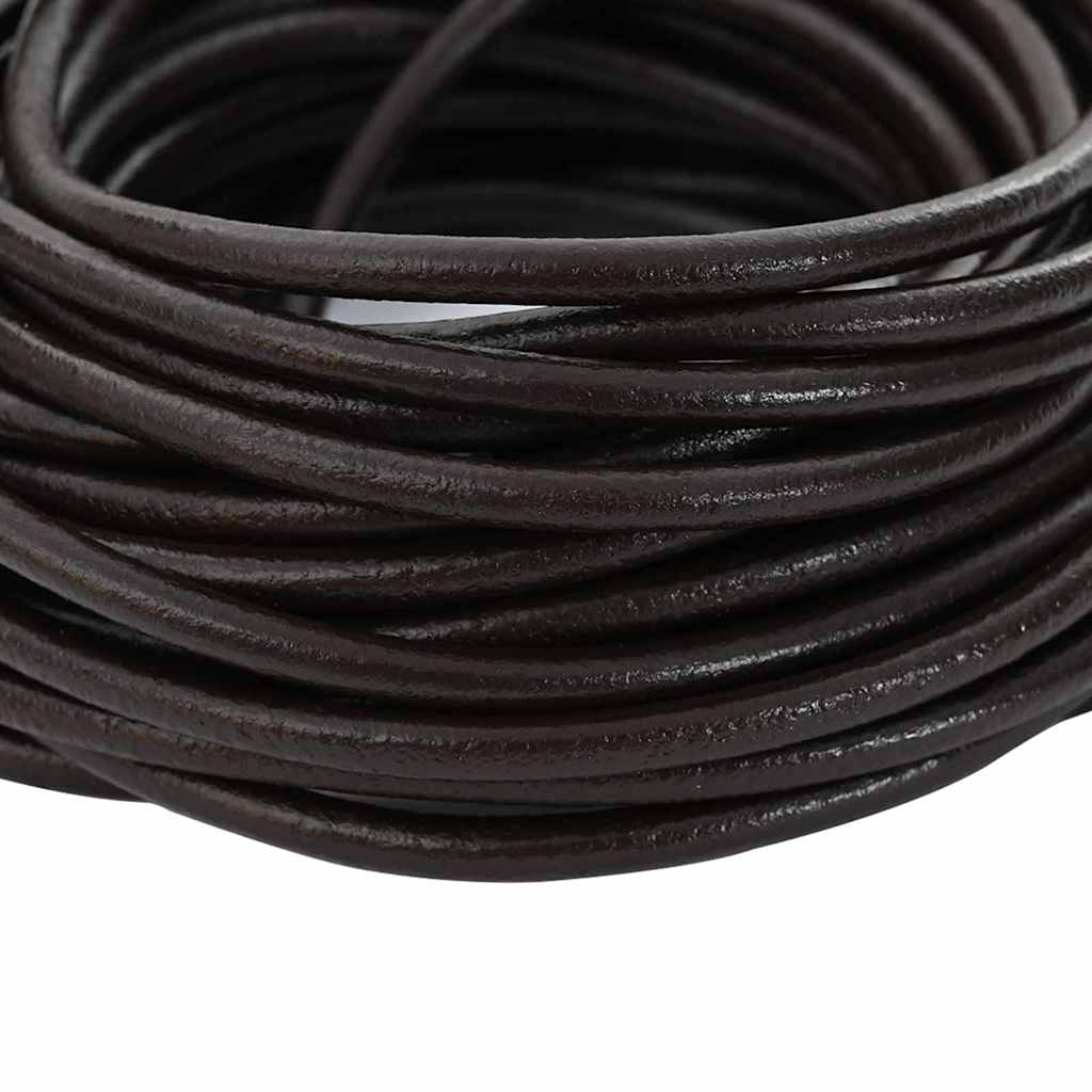 Vidaxl leren koord donkerbruin ø4 mm x 5 m leer
