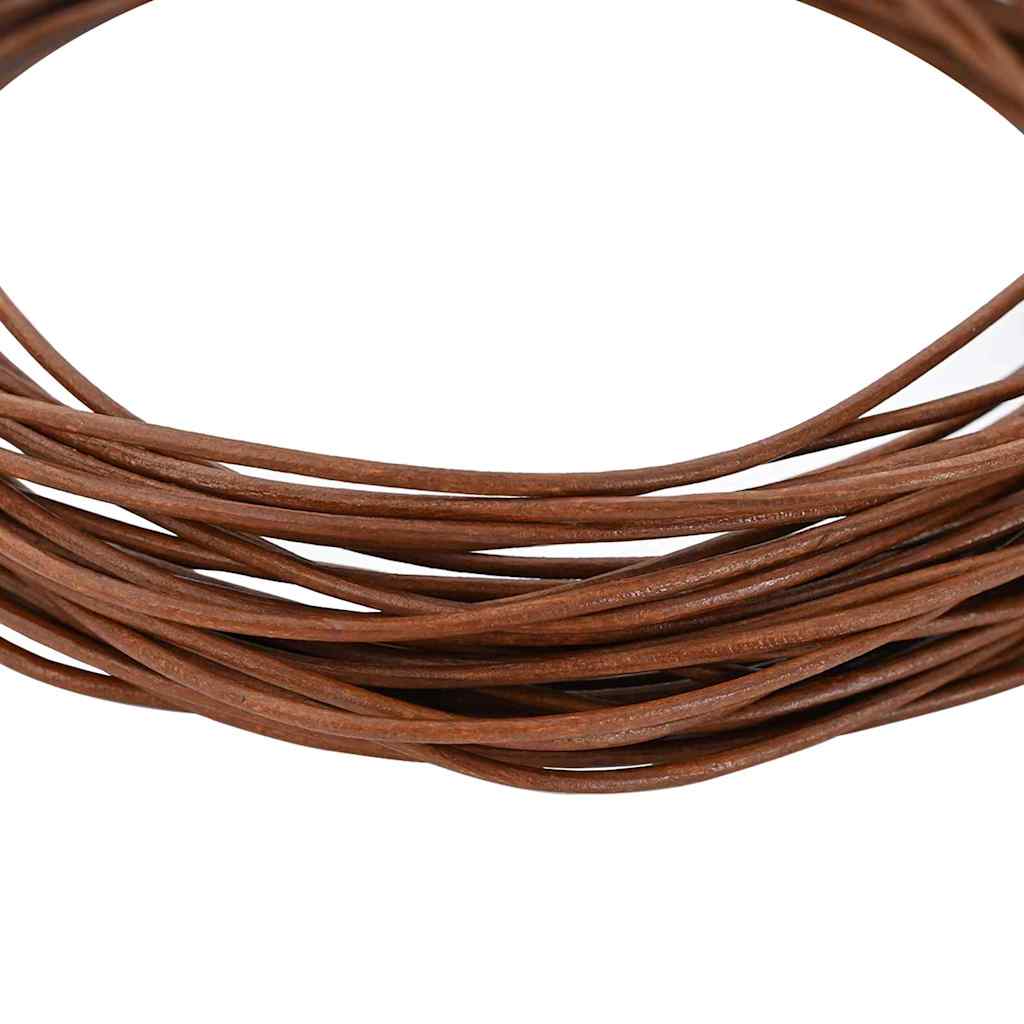 Vidaxl leren koord licht bruin ø2 mm x 5 m leer