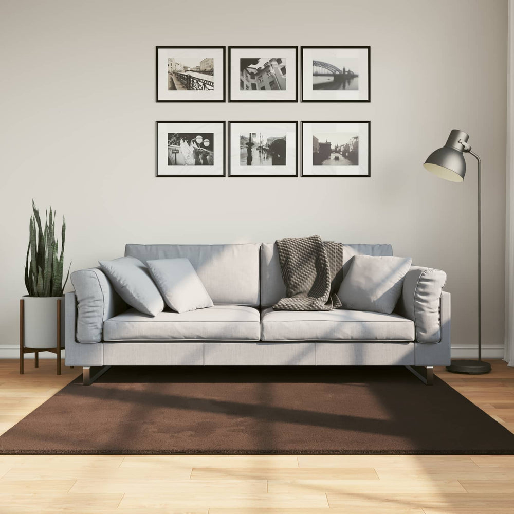 Vidaxl vloerkleden vierkant huarte bruin 160 x 160 cm polyester