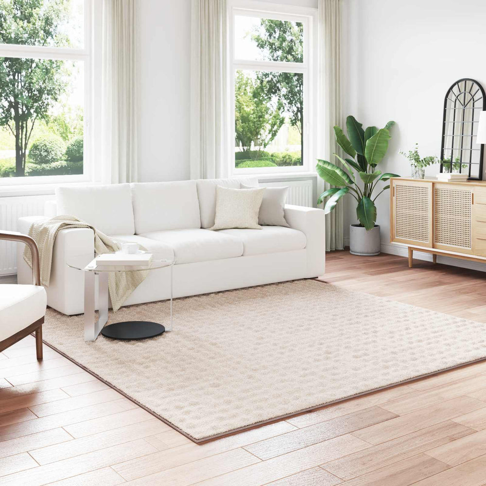 Vidaxl vloerkleden vierkant huarte beige 240 x 240 cm polyester