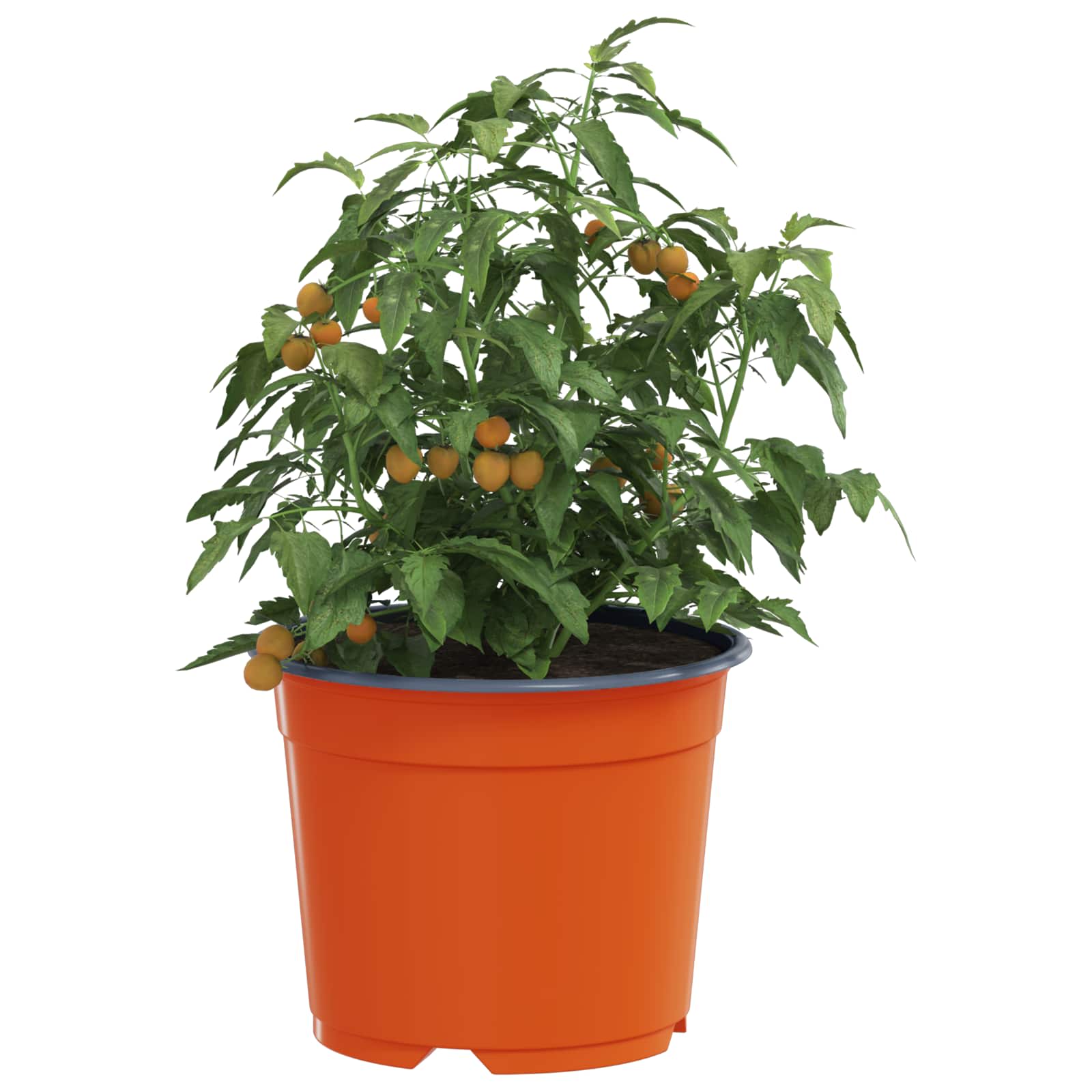 Vidaxl bloempot 200 pcs terracotta ø 15 x 12.5 cm kunststof