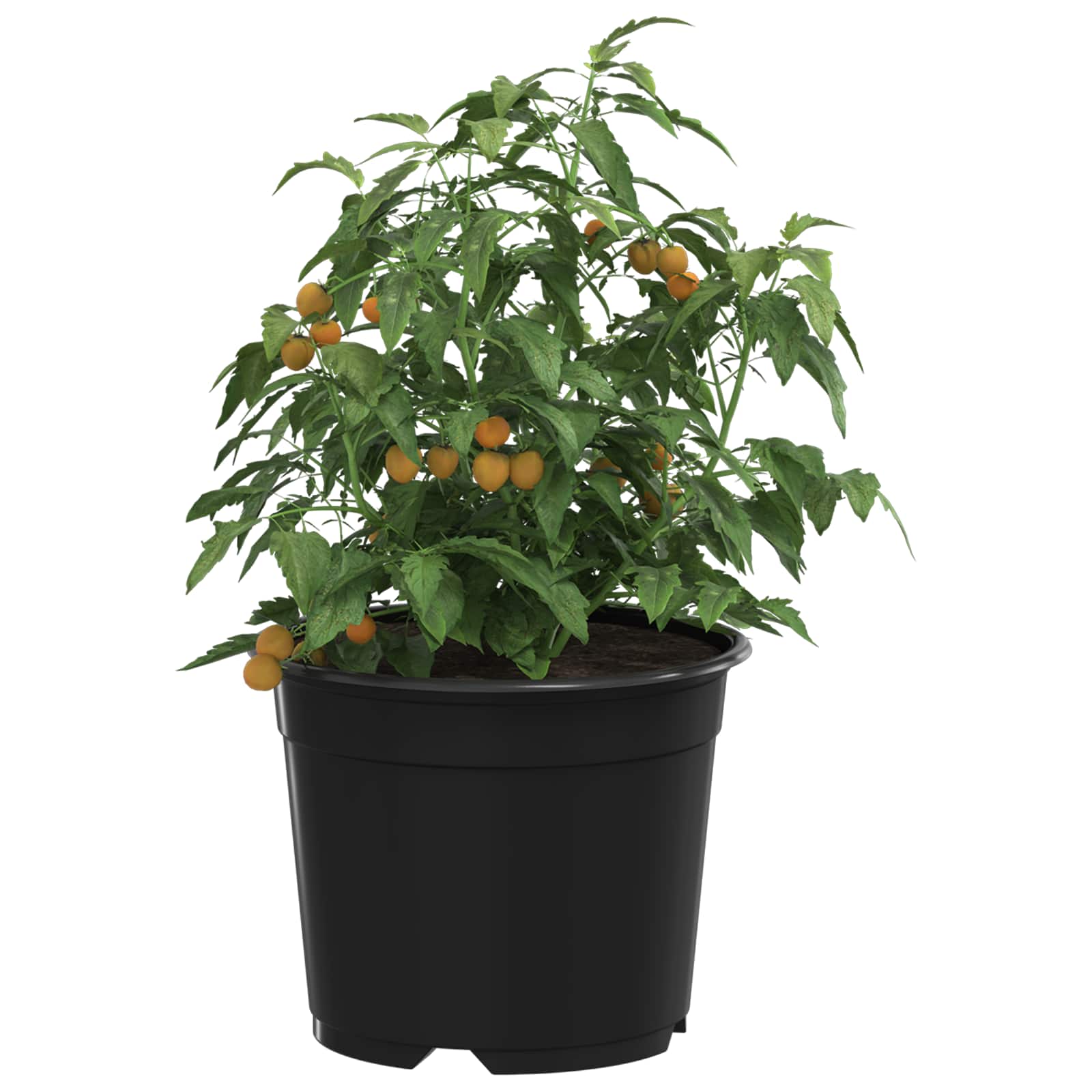 Vidaxl bloempot 200 pcs zwart ø 15 x 12.5 cm kunststof