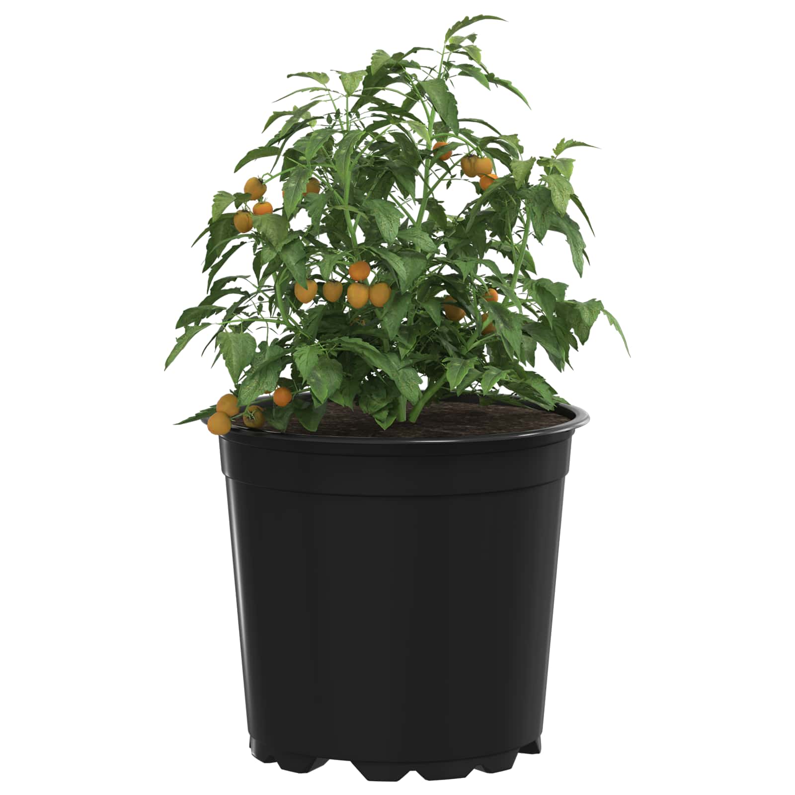 Vidaxl bloempot 200 pcs zwart ø 15 x 13 cm kunststof