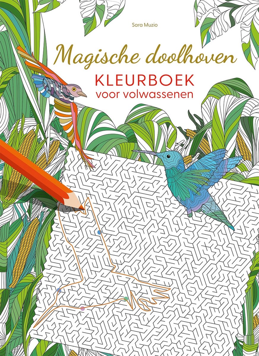 Deltas magische doolhoven kleurboek volwassenen