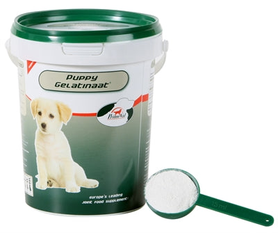 Oer-Gelatinaat puppy