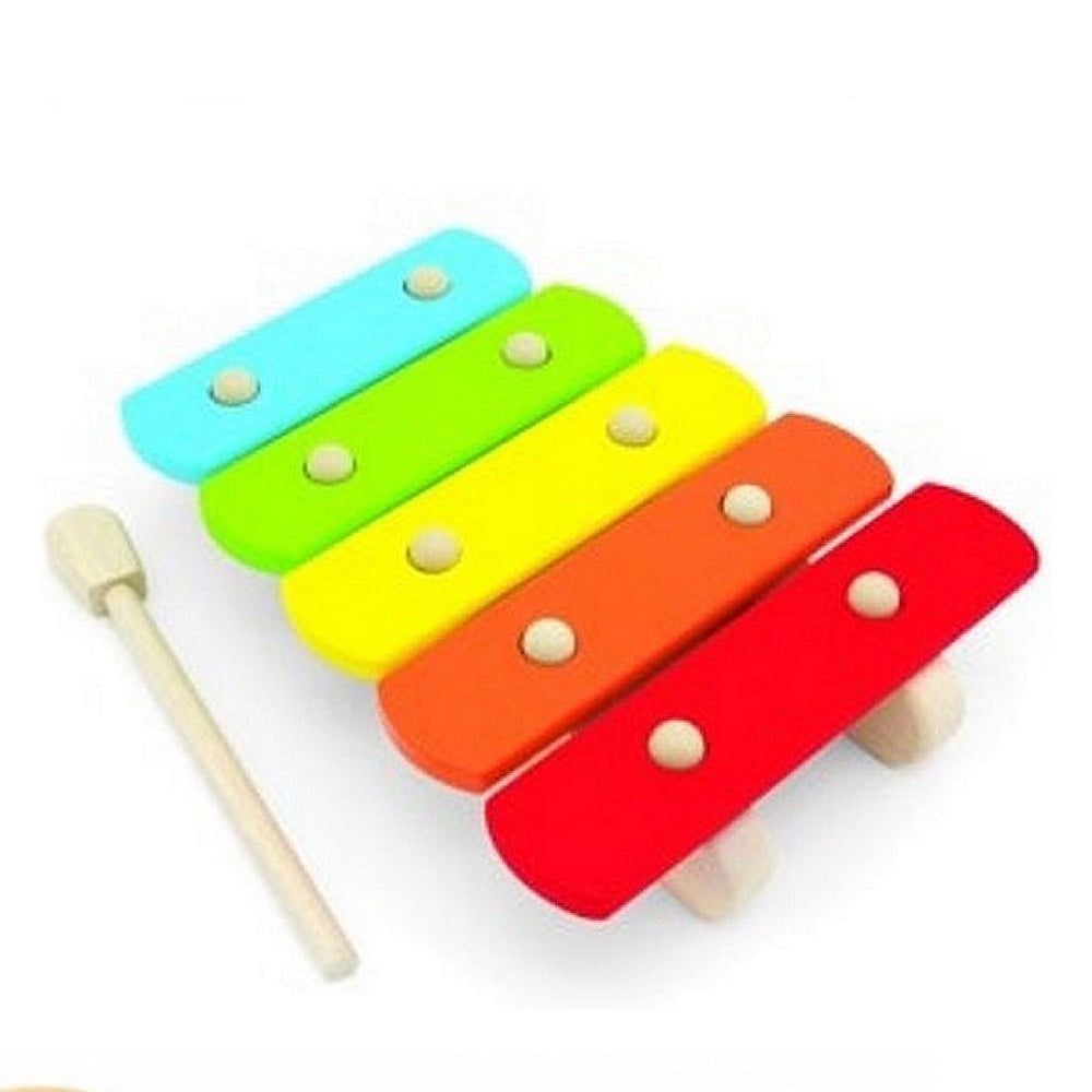 Pintoy basic xylofoon helder
