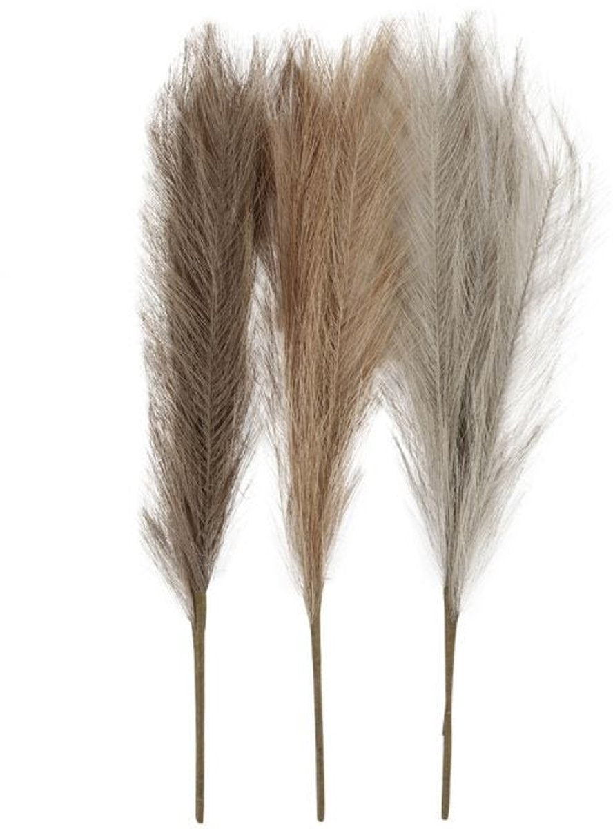 Https: www.cchobby.nl pampas-grass-l-50-cm-light-beige-light-brown-light-gray-3-pieces-1-ball